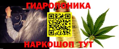 спайс Коммунар