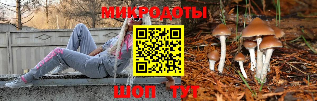 Псилоцибиновые грибы мицелий  Псилоцибиновые грибы мицелий  Костомукша  Вход с VPN 